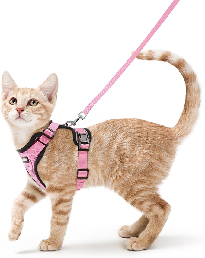 rabbitgoo Cat Harness and Leash for Walking, Escape Proof Soft Adjustable Vest Harnesses for Cats, Easy Control Breathable Reflective Strips Jacket, Pink, XS