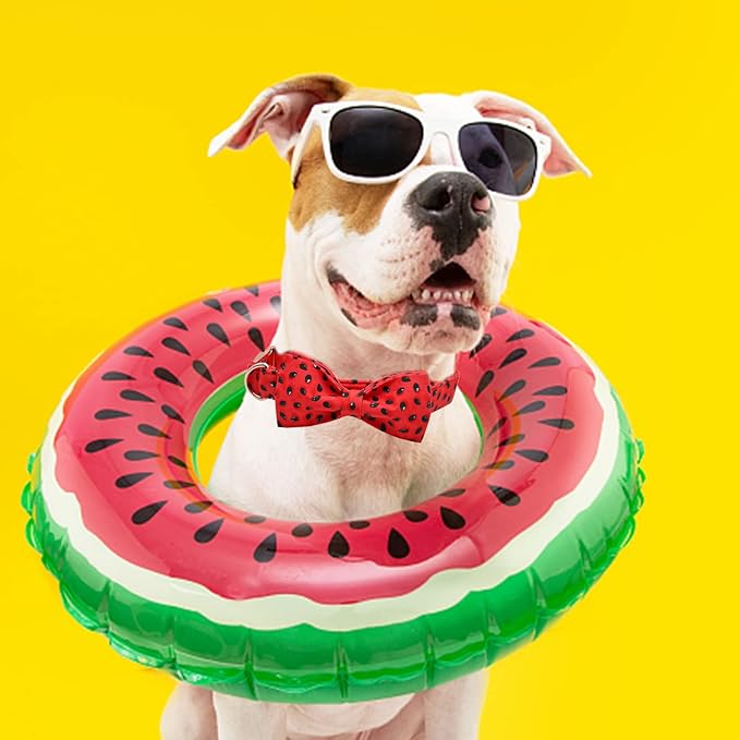 Lionheart glory Dog Collar, Watermelon Dog Collar with Bow, Summer Dog Bowtie Collar Cute Pet Collar Gift for Small Dog