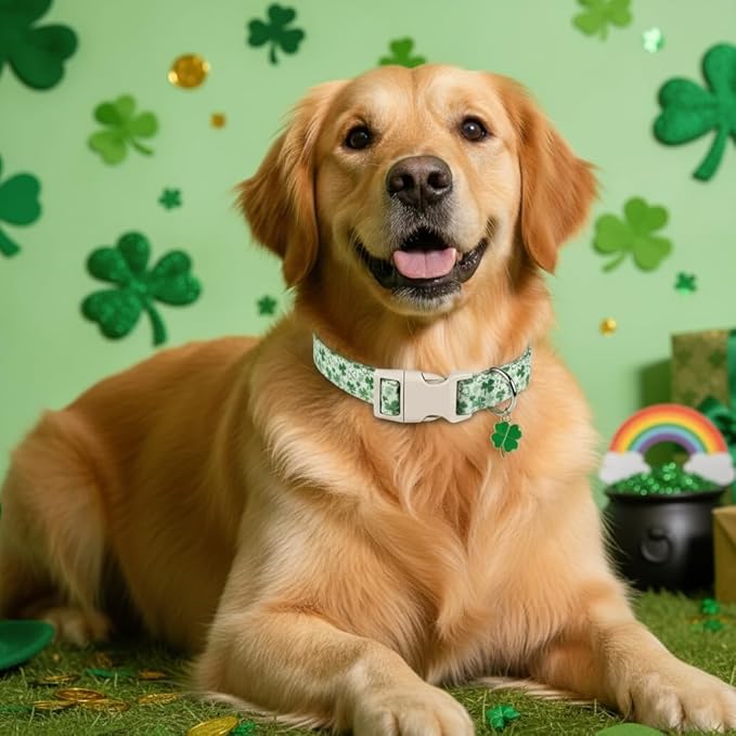 XS Dog Collar for St. Patrick's Day, Cute Dog Collar with Green Clover for Puppy, Extra Small & Small Dogs, Adjustable Puppy Collar with Soft Fabric and Quick Release Buckle