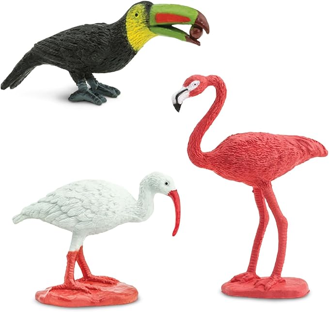 Safari Ltd. Exotic Birds TOOB - 10 Figurines: Parakeet, Quetzal, Macaw, Hummingbird, Toucan, Cockatoo, Flamingo, Snowy Owl, Parrot - Educational Toy Figures For Boys, Girls & Kids Ages 3+