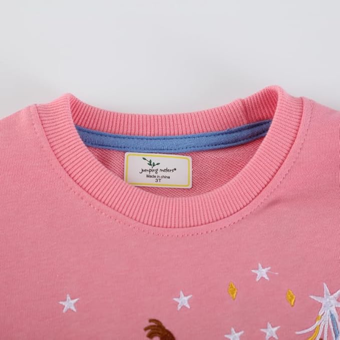 Toddler Baby Girls Cotton Sweater, Long Sleeve Crewneck Sweatshirt Pullover Kids Warm Clothing for Fall Winter