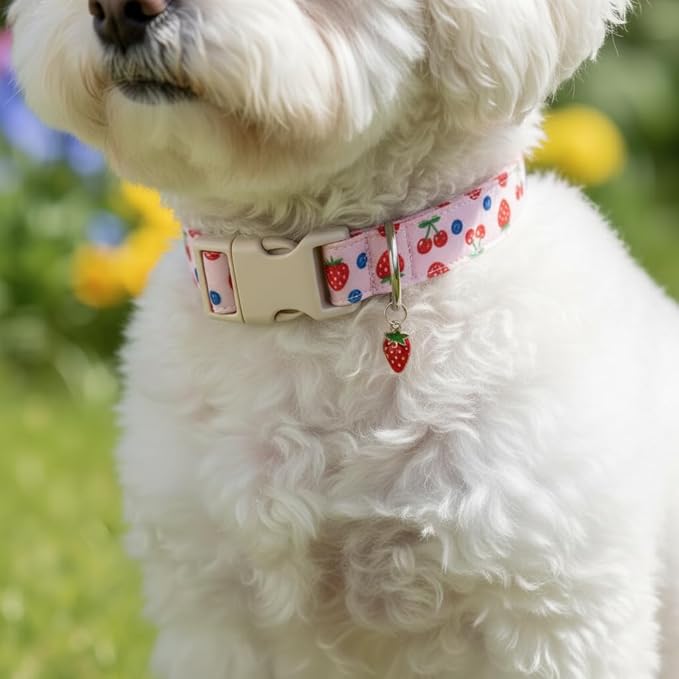 Pink Dog Collar, Female Dog Collar for Large Dogs with Strawberry, Cherry and Blueberry Print, Spring Summer Collar Made of Durable Soft Fabric, L