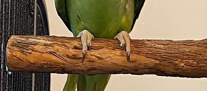 Polly's Hardwood Bird Perch, Large