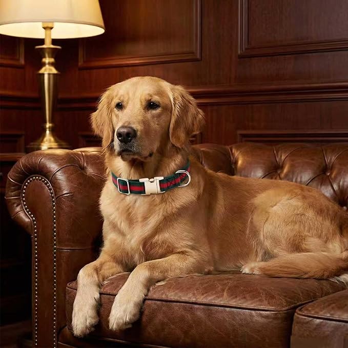 Premium Dog Collar, Cute Dog Collars Luxury Style, Durable Pet Collars with Metal Buckle Safety for Medium Dogs