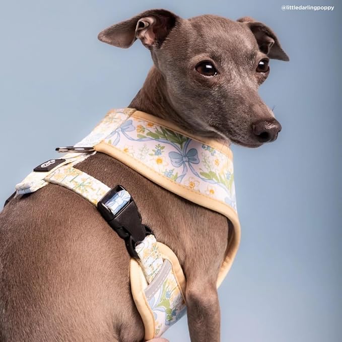 Lucy & Co. Sunshine and Daffodils Reversible Dog Harness, Adjustable Comfort Fit with Dual Leash Attachments, X-Small