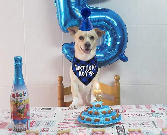 Dog Birthday Party Supplies,Pet Birthday Hat and Boy Doggy Birthday Bandana Set