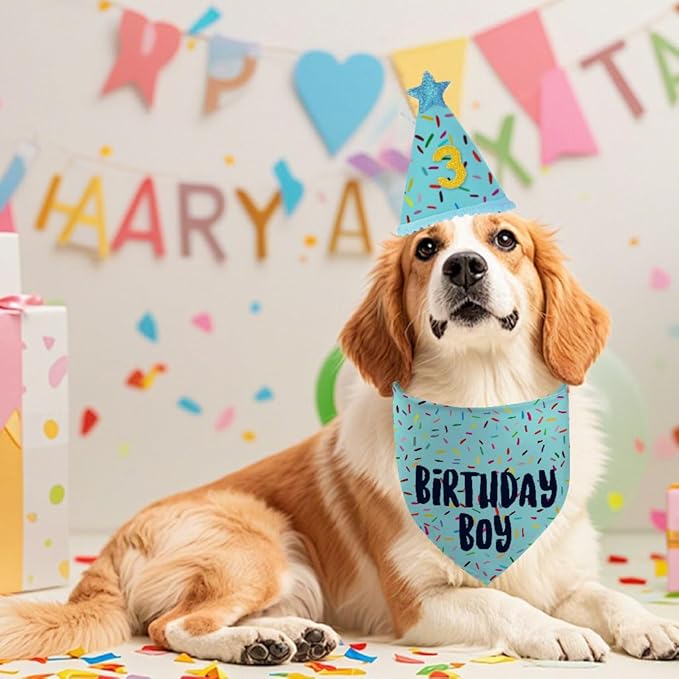 Dog Birthday Bandana Set, Light Blue Birthday Boy Decorations, HBD Party Supplies with Hat Bandana Numbers for Pets (Light Blue)
