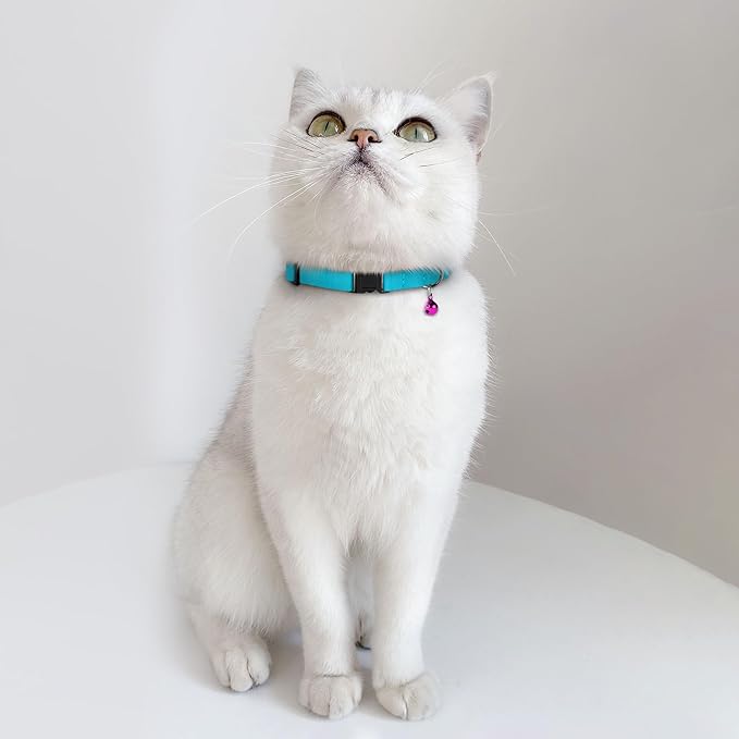 Breakaway Cat Collar Leather with Removable Bell - 13 Colors Available - Soft Adjustable Girl Boy Safety Lightweight Pet Kitten Collars Pink Brown Blue Green Red Orange Black (Graphite)