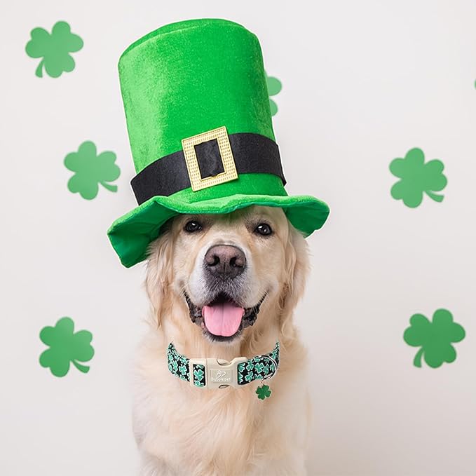 St Patricks Day Dog Collar for Medium Dogs - Green Lucky Shamrock Boy Dog Collars, Irish Clover Pattern Black Male Puppy Collar with Quick Release Buckle M