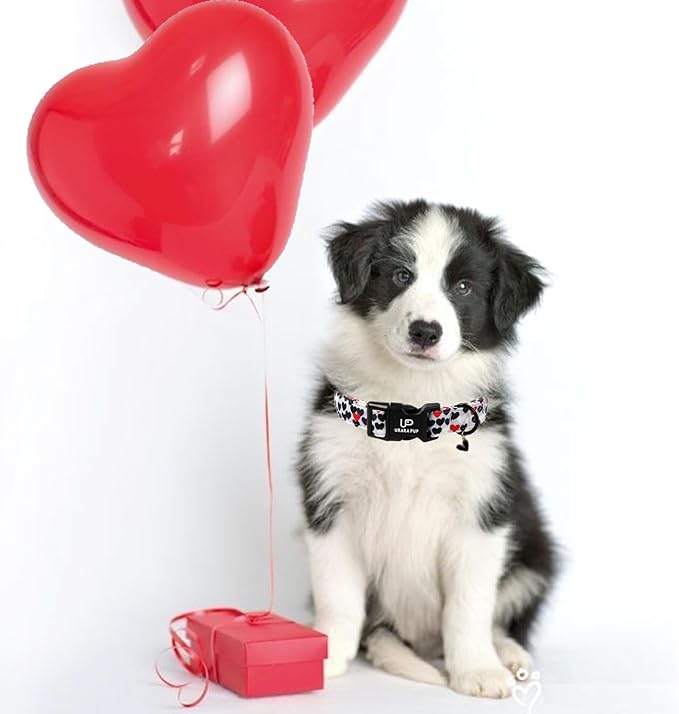 Valentine's Dog Collar, UP URARA PUP Love Heart Adjustable Pet Collar with Bowknot Charm, Daily Dog Accessories for Small Medium Large Dogs