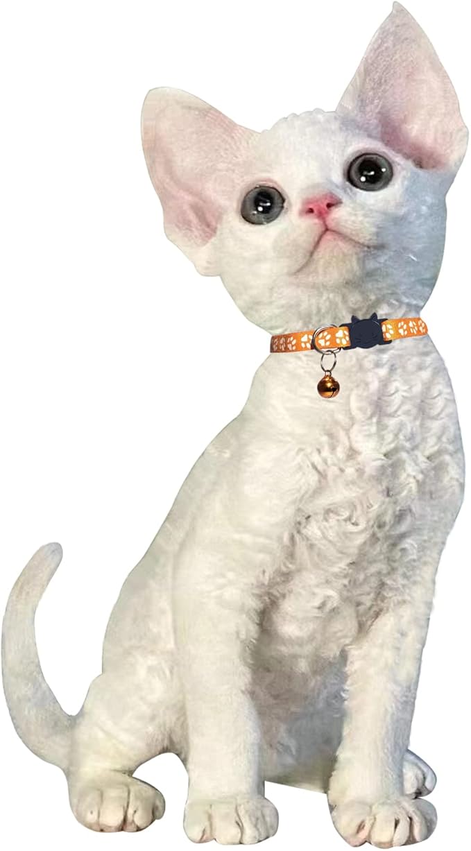 Breakaway Reflective Nylon Cat Collars with Bell (2 Black + 2 Orange)