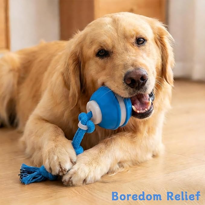 Zealburst Interactive Dog Toy Ball, 2026 Upgraded Motion Activated Rolling Ball with Squeaky Sounds, 360° Smart Automatic Moving Toy for Bored Cats & Dogs, Indoor & Outdoor Pet Exercise Toy (Blue)