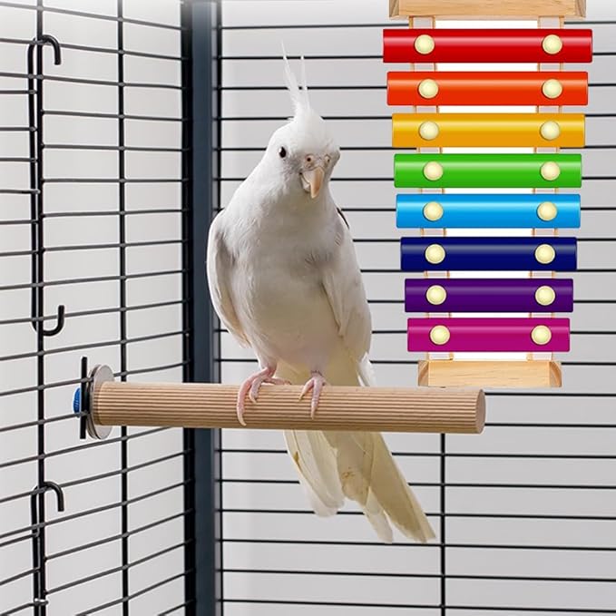 Bird Xylophone with Mirror & Bell Accessories - Musical Training Toy for Conure, Budgie, Cockatiel, Cockatoo, Parakeet, Finch (Bird Xylophone with Mirror)