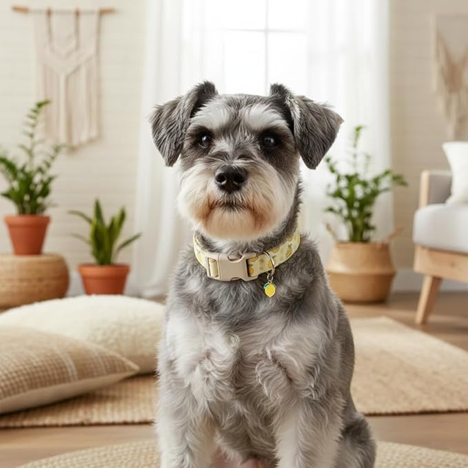 Dog Collar, Spring Summer Dog Collar with Yellow Lemon and Cute Charm, Pet Collar with Quick Release Buckle and Durable Fabric, Suitable for Small Dogs