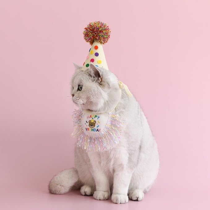 Cat Birthday Bandana Scarf and Party Hat Cute Tassels Bib Scarf and Birthday Hat Cat Birthday Party Decorations Set