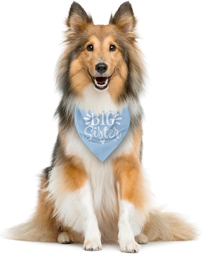 Big Sister Dog Bandanas, Light Blue Pet Scarf Accessories, Pet Triangle Scarf, Dog Bandana for Large Dogs, Baby Announcement Dogs Bandana (L)
