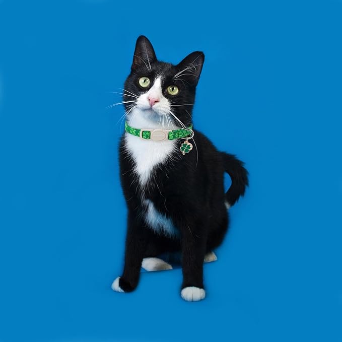 Cat Collar,2 Pack St.Patrick's Day Cat Collars Breakaway with Bell, DOGWONG Safety Buckle Cat Collar Green Trefoil Cat Collar for Girl Boy Cats，Adjustable 7-12 Inch