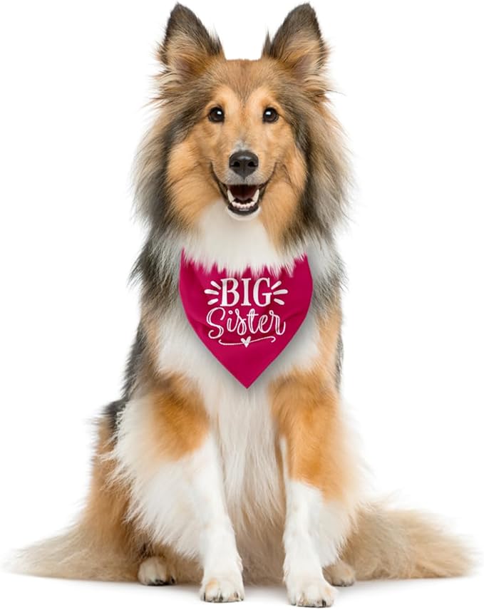 Big Sister Dog Bandana, Dog Bandana, Deep Pink Pet Dog Scarf Accessories, Pet Dog Triangle Scarf, Dog Bandana for Small Medium Dogs, Baby Announcement Dog Bandana, Dog Bandana Pet Scarf (M)