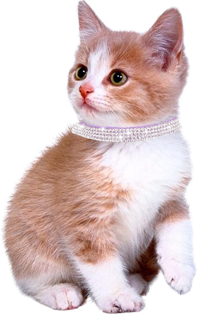 Solmoony Breakaway Cat Collars with Bell,Adjustable Safe Kitten Collar,Cat Collars for Girl Cats with Rhinestone Soft Velvet (Purple)