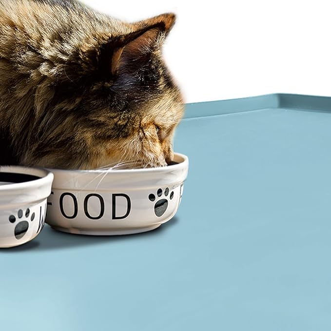 Dog Food Mat,Silicone Waterproof Food Tray,Non Slip Pet Bowl Mats Placemat,0.8" Raised Edge,Suitable for Most Small and Medium Sized Pets,28" x 18"