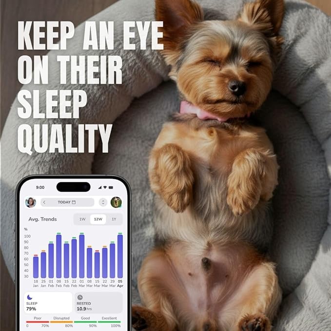 FitBark 2 Dog Activity Monitor | Health & Fitness Tracker for Dogs | Waterproof, Small & Leightweight (10 g) | Not a GPS Tracker