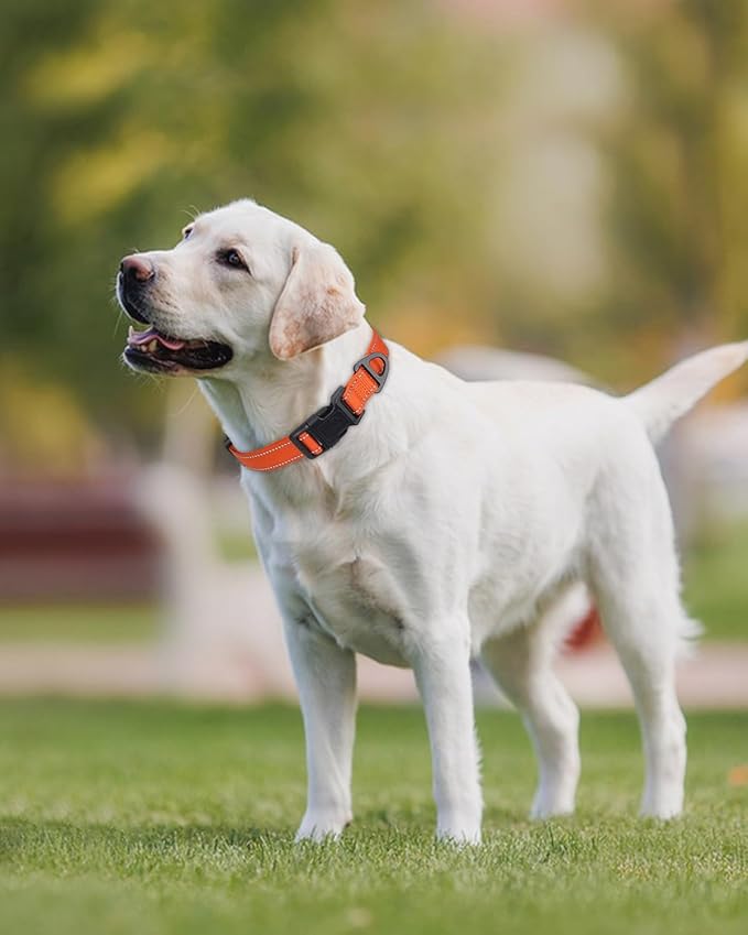 Joytale Reflective Dog Collar, Adjustable Nylon Pet Collar with Quick-Release Buckle for Medium Dogs, Orange, M