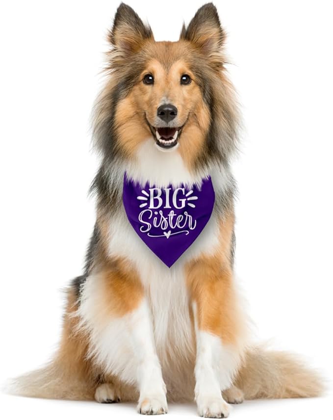 Big Sister Dog Bandana, Purple Dog Bandana, Pet Scarf Accessories, Pet Triangle Scarf, Dogs Bandanas for Small Medium Dogs (M)