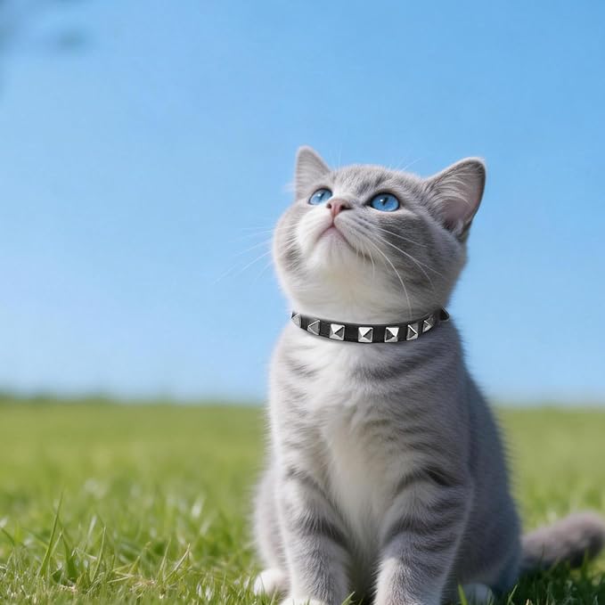 EXPAWLORER Leather Cat Collar - Adjustable Pet Collar with Rivet Spike for Girl Boy Cats, Punk Accessories with Bell & Durable D-Ring,Silver Square Nails, S