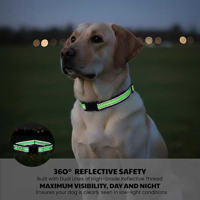 Dog Training Collar Replacement and Shock Collar Strap - 3/4 Inch Wide Adjustable Nylon Band with Reflective Replacement Strap for E Collar and Bark Collar (Green)