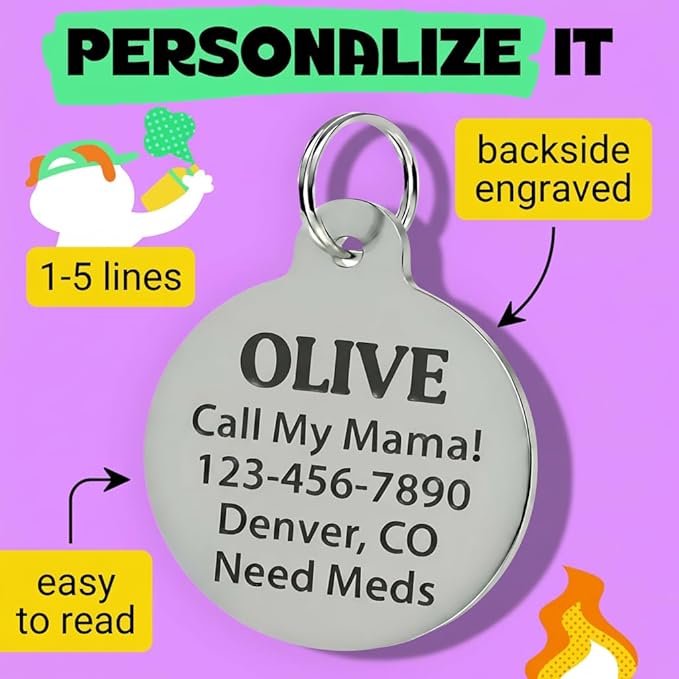 Bad Tags Personalized Dog and Cat ID Tags in 25+ Designs and 2 Sizes - 5 Lines of Custom Engraved Text - Funny Cute Personalized Pet Tags (Spoiled Rotten, Small (1 inch))