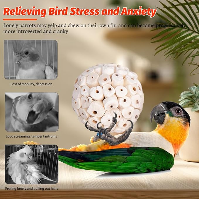 9 Pack Bird Toy Sola Balls, Natural Parrot Soft Chew Shredding & Foraging Toy, Bird Foot Balls for Cockatiel Conure Quaker Budgie Parakeet Bunny Guinea Pig Chinchilla Rabbit