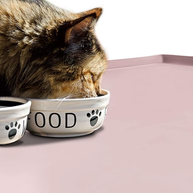 Dog Food Mat,Silicone Waterproof Food Tray,Non Slip Pet Bowl Mats Placemat,0.6" Raised Edge,Suitable for Most Small and Medium Sized Pets,24" x 16"