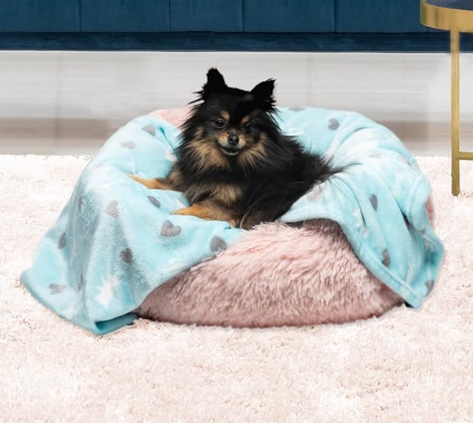 Juicy Couture Plush Flannel Pet Throw Blanket, Turquoise Juicy Scottie Hearts
