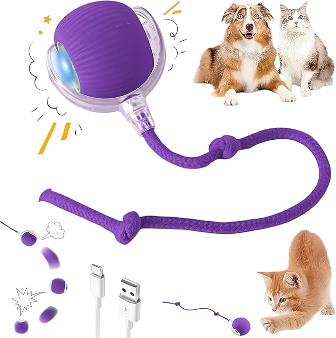 Interactive Electric Automatic Rolling Moving Rechargeable Self Play Stimulation Toy,Smart Pet Chase with Speedy Tail Rope for Bored Indoor Cats (Purple)