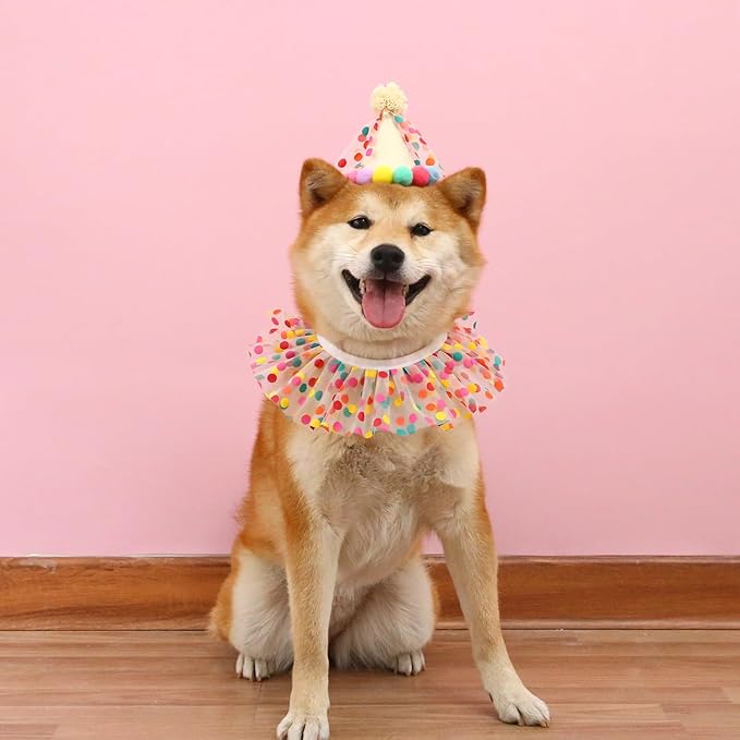 Cat Dog Princess Costumes Puppy Cat Birthday Bandana Scarf and Party Hat Cute Lace Dog Bib Scarf and Christmas Hat Doggy Birthday Party Decorations Set