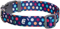 Blueberry Pet Essentials Rainbow Polka Dots Adjustable Dog Collar, Large, Neck 18"-26"