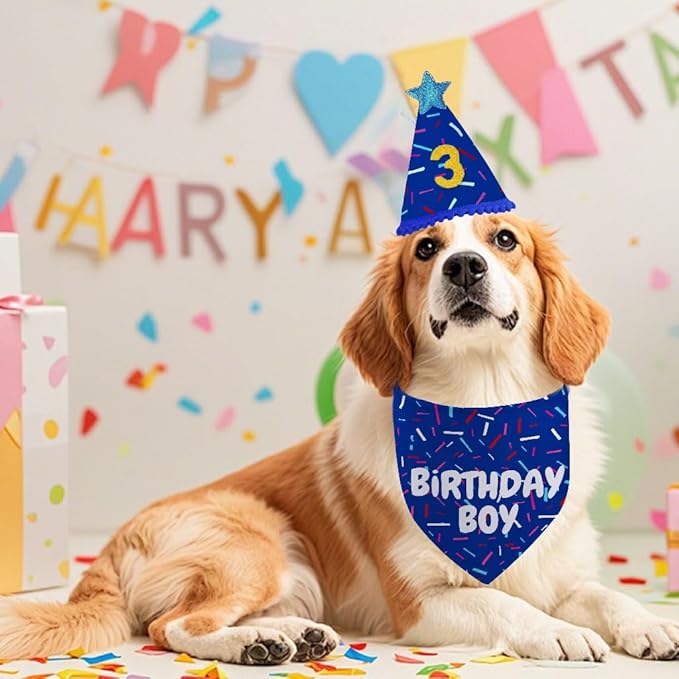 Dog Birthday Bandana Set, Blue Birthday Boy Decorations, HBD Party Supplies with Hat Kerchief Numbers for Pets (Blue)