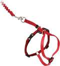 PetSafe Come With Me Kitty Cat Harness & Bungee Leash - Comfortable Cat Harness with Lightweight Bungee Leash for Outdoor Fun - More Secure Walks - Large - Red