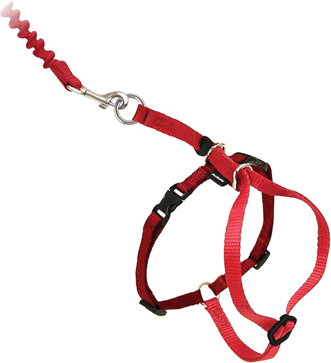 PetSafe Come With Me Kitty Cat Harness & Bungee Leash - Comfortable Cat Harness with Lightweight Bungee Leash for Outdoor Fun - More Secure Walks - Large - Red