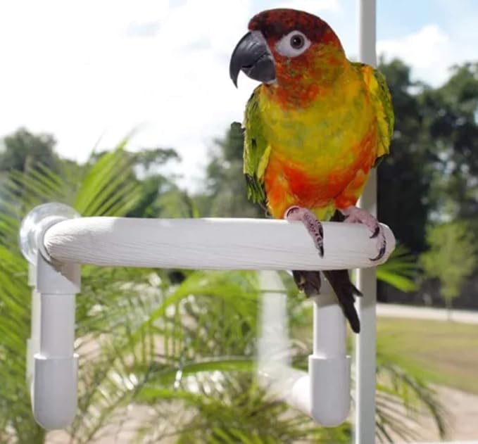 Bird Parrot Shower Perch (Small Round