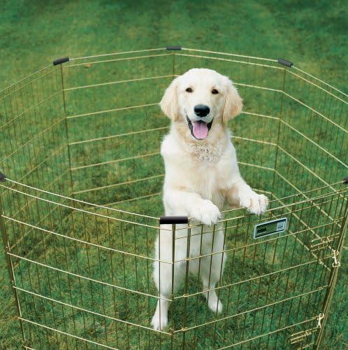 MidWest Homes for Pets Folding Metal Puppy / Dog Exercise Pen, Indoor/Outdoor Playpen with Door, 16 Sq Feet of Play Space, 30-Inches Tall, Gold Zinc