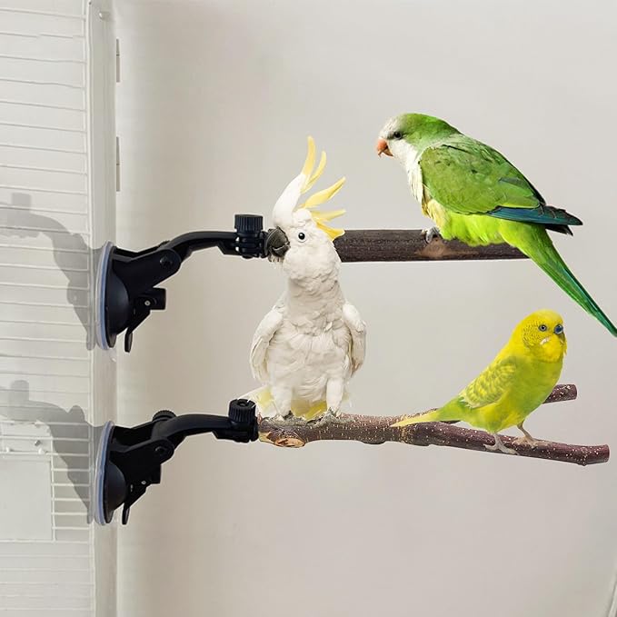 Natural Wood Bird Perch Stand With Suction Cup - 2 PCS Parrot Cage Toys, Shower and Window Stand, Wall Bath Rack for Cockatoo, Macaw, Parakeet