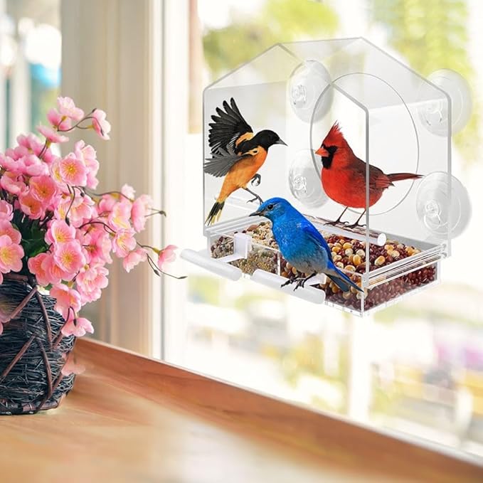 2PCS Bird Perch Stands, Acrylic Parrot Feeder Playstand Window Bird Feeder Accessories for Blue Jay Cardinal Goldfinch Chickadees