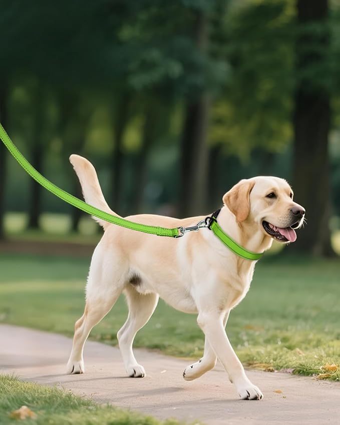 Joytale Large Dog Collar, Reflective and Adjustable Nylon Pet Collar with Quick-Release Buckle for Large Dogs, Green, L
