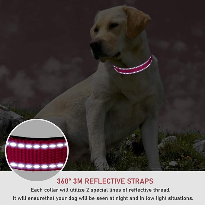 Reflective Dog Collar with Buckle Adjustable Safety Nylon Collars for Small Medium Large Dogs, Red XL