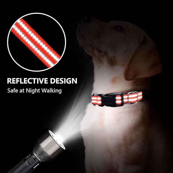 Martingale Dog Collar, Adjustable Nylon Reflective Collar with Quick Release Buckle (Bright Orange, Medium)