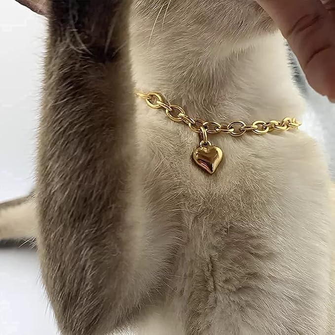 HOWWFALY Dog Collar and Cat Chain Necklace Stainless Steel Adjustable 18K Gold Heart-Shaped Necklace for Small Pets Cats Kitten Puppy (Gold, 10 inch)