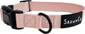 ShawnCo Dream Walk Dog Collar- Premium, Adjustable and Comfortable Pet Collar for Small, Medium, Large and Extra Large Dogs (M, Rose Gold)