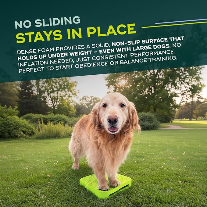 FitPAWS Balance Ramp | Dog Agility Equipment for Balancing, Obedience Training, and Sensory Stimulation