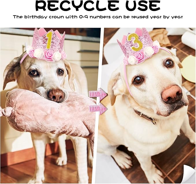 Pet Crown Dog Birthday Hat Reusable Birthday Party Crown Girl Cat Doggie Headband Hats with 0-9 Figures Charms Gift Grooming Accessories with Glue Dots Pack of 1(Pink)